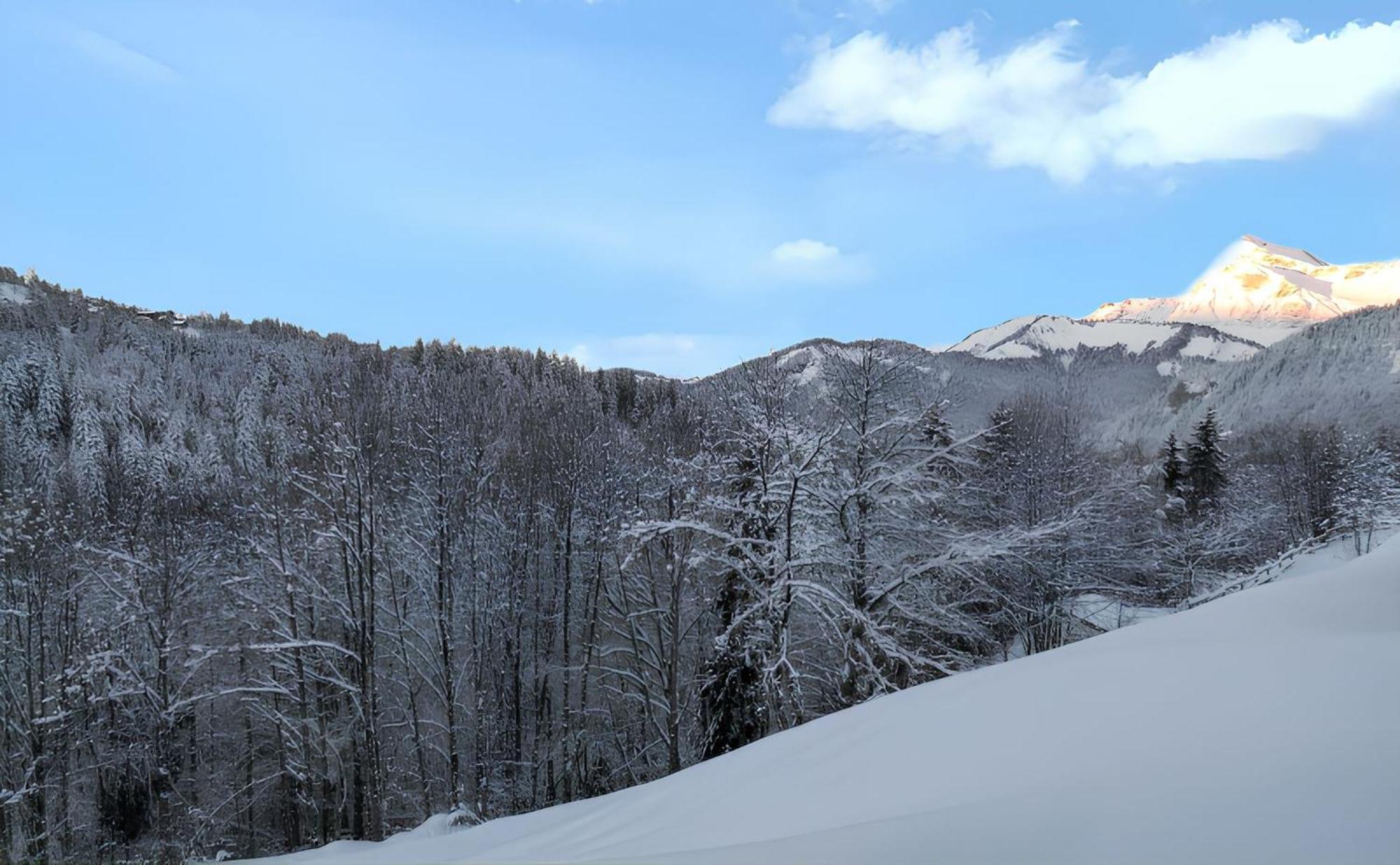 Appartement Confortable Avec Vue Sur La Montagne 圣母贝莱克 外观 照片